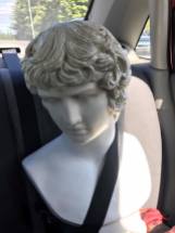 Antinous, our back-seat driver.